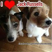 Shona Bathurst's photo