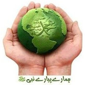 Hafiz Farooq's photo