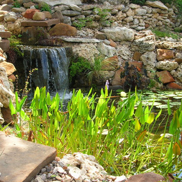 Barton Creek Oasis
