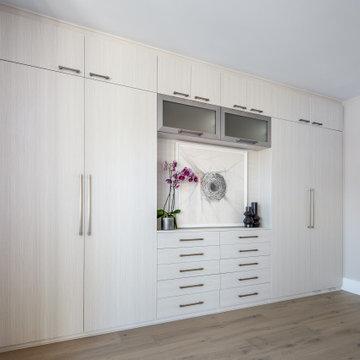 Elegant Space-Saving External Wardrobe with Media Alcove