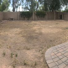 Spruce up the Backyard