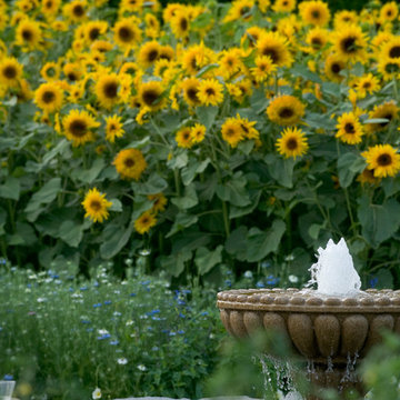 Home Farm and Garden