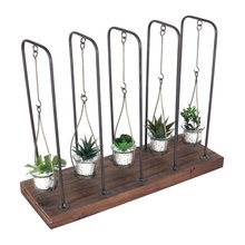plant decor