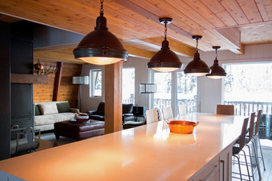 Example of a trendy living room design in Calgary with a wood stove and a metal fireplace