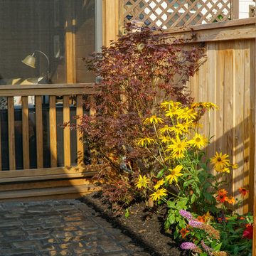 Urban Backyard