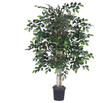 Vickerman 4' Mini Ficus Bush