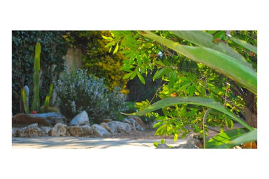 Diseño de camino de jardín de secano mediterráneo grande en patio delantero con exposición parcial al sol y adoquines de piedra natural