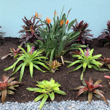 Naples Reserve Tropical Landscape