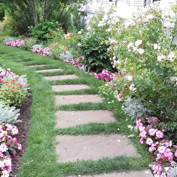 Cotuit Garden renovation and planting