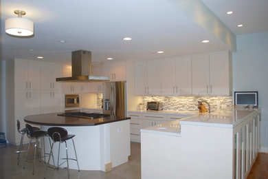 Trendy kitchen photo in Houston