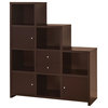 Asymmetrical Reversible Cube Storage Compartment Bookshelf Bookcase Cabinet , Ca
