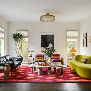 Bold Modern Living Room with Eclectic Edge
