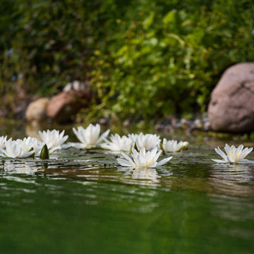 Formaler Schwimmteich