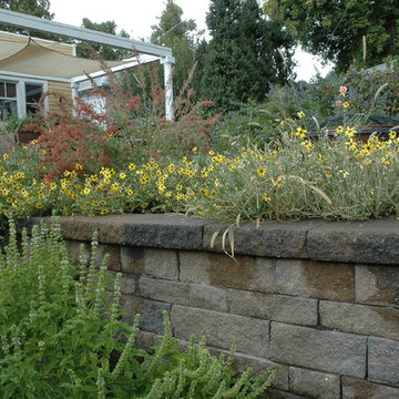 Italianate Style B Street Water Wise & Vegetable Garden