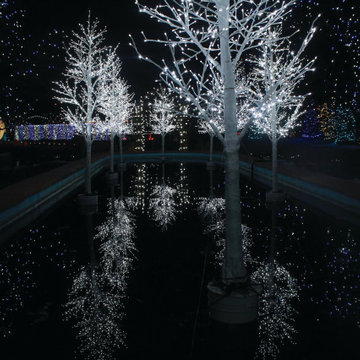 Christmas Lights
