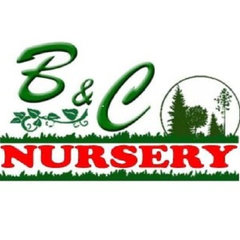 B&C Nursery