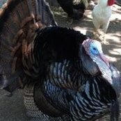 Kristi Johnson's photo