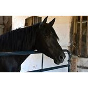 Christina Knauer's photo