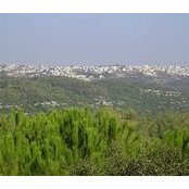 Foto de קרקעות למכירה בכרמל