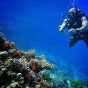 Khalil Al-Hashimi's photo