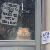 Jasmine Loh's photo