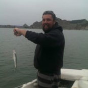 Curt Palmblad's photo