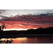 Johnny Beecherl's photo