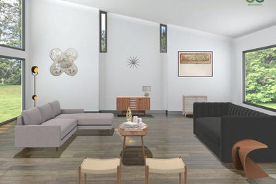 Natural Midcentury Concept