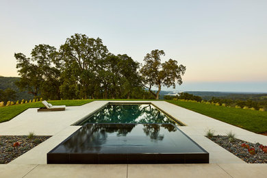 Inspiration for a modern pool in Sacramento.