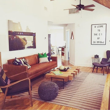 Bouldin Creek Midcentury Airbnb: Living Room