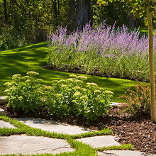 JAP/INDIAN PINK BED
