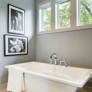 Edina Contemporary Remodel
