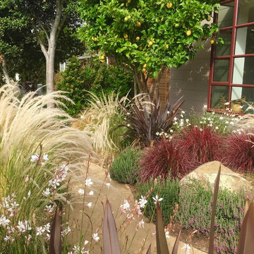 Modern Californian Edible Landscape