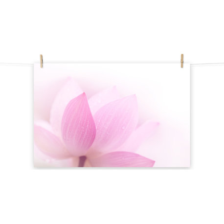 Flowered Wall Art Close-up Pink Lotus Petal Floral Nature Photo Print, 11" X 14"