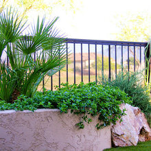 walkway and cactus garden