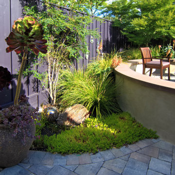 Purple fence and lime green plants