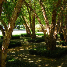 outside landscape