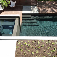 pool design