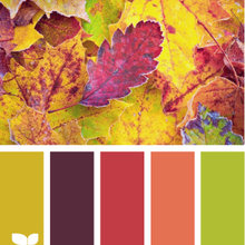 Autumn brights