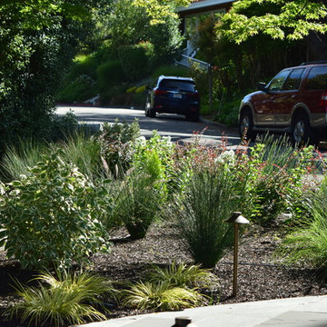 Entry pathway and steps