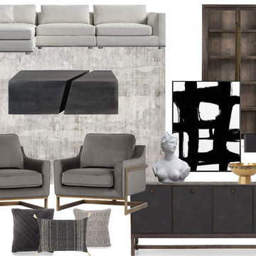 E-Design Concept Board Modern Classic Living Room Est. Budget $16,000