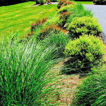 Hillside Beautification