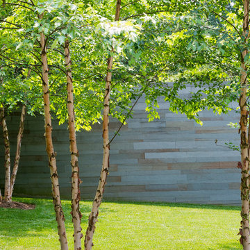 Woodland Residence