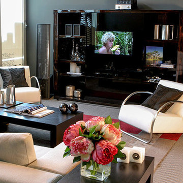 Living Room/ Fire Place Applications