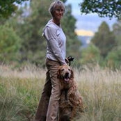 Diane Branstrom's photo