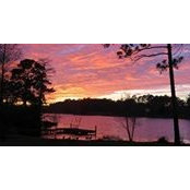 Phyllis Hornbuckle's photo