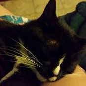 Sandra Greene's photo