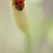 Photo de Lissa Boillot