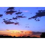 Dawn Dunleavy's photo