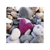 Johanne Vallières's photo